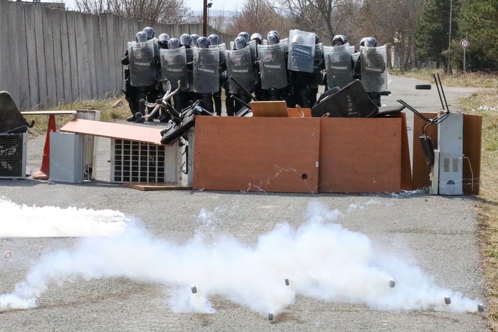 Multinational Crowd Riot Control Training