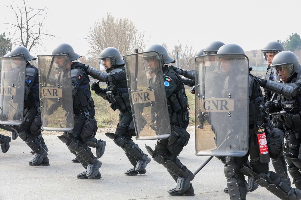 Multinational Crowd Riot Control Training