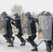 Multinational Crowd Riot Control Training