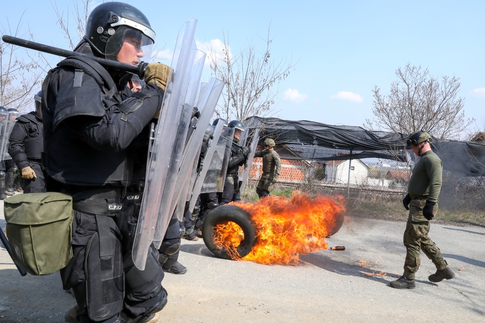 Multinational Crowd Riot Control Training