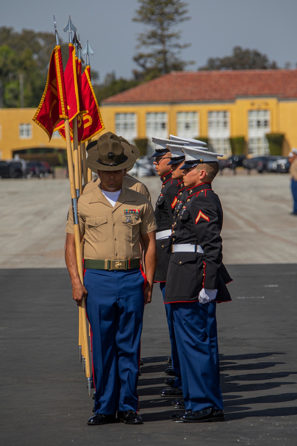 India Company Graduation