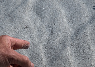 Every Day is Earth Day