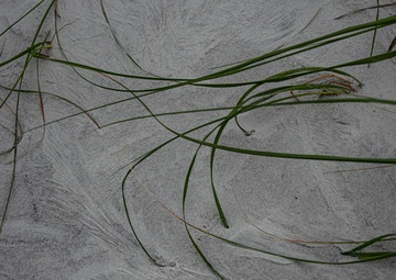 Every Day is Earth Day