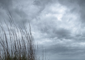 Every Day is Earth Day