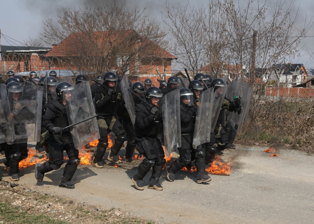 Multinational Crowd Riot Control Training