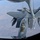 100th Air Refueling Wing supports NATO allies over Eastern Europe