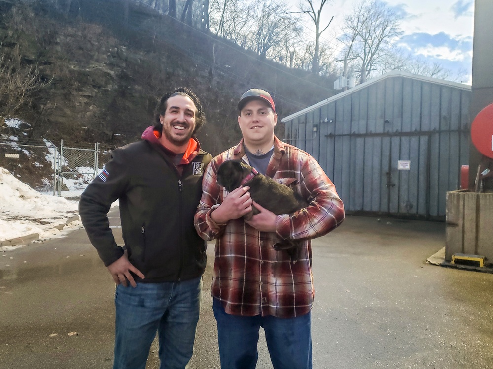 Harper’s Hero: Ferguson reunites dog with owner