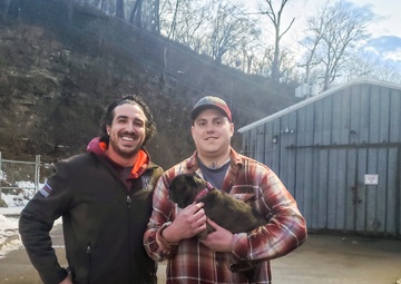 Harper’s Hero: Ferguson reunites dog with owner