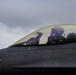 31st FW participates in Frisian Flag 22
