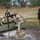 All Army Competition Raises Marksmanship Skills for all Components