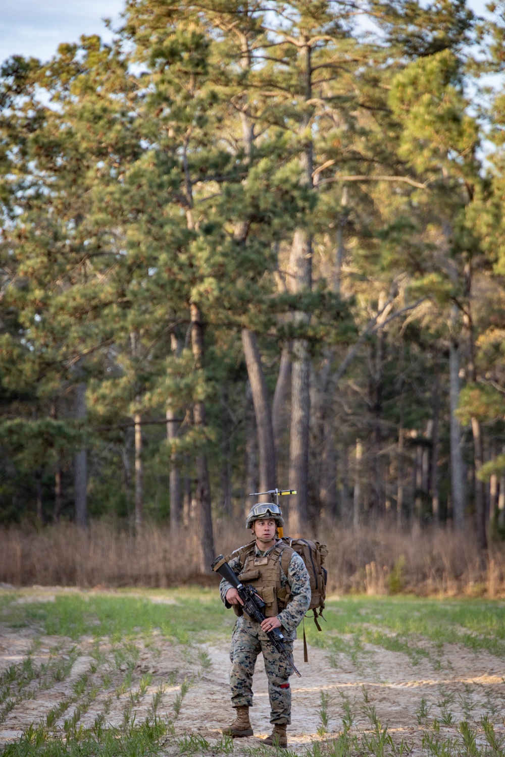 Combat Logistics Battalion 22 conducts battalion field exercise