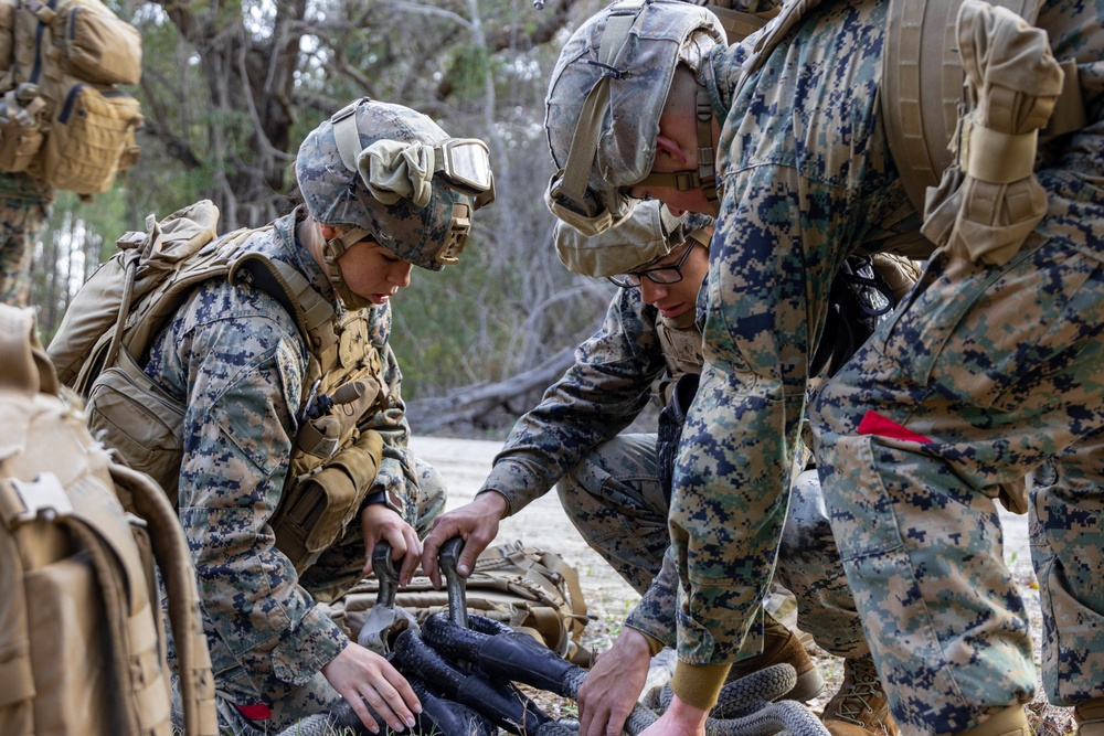 Combat Logistics Battalion 22 conducts battalion field exercise