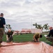 Marine Wing Headquarters Squadron 3 Hosts Eagle Fest