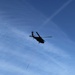 Federal, state agencies partner for fire-suppression training with Black Hawks at Fort McCoy