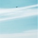 UH-60 Black Hawk training operations at Fort McCoy