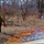 2022 prescribed burn operations at Fort McCoy