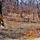 2022 prescribed burn operations at Fort McCoy