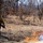 2022 prescribed burn operations at Fort McCoy