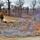 2022 prescribed burn operations at Fort McCoy