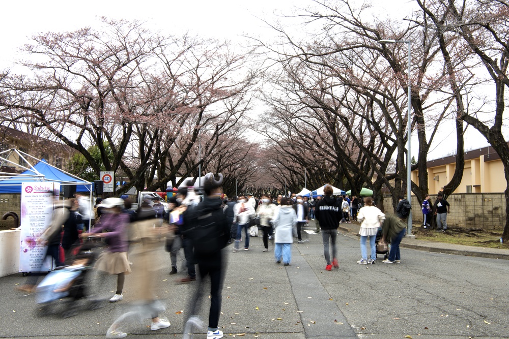U.S., Japan celebrate during Yokota Sakura Spring Festival