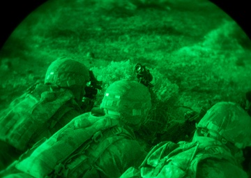 Idaho National Guard conducts tactical air insertions in the early morning to prepare for future deployment