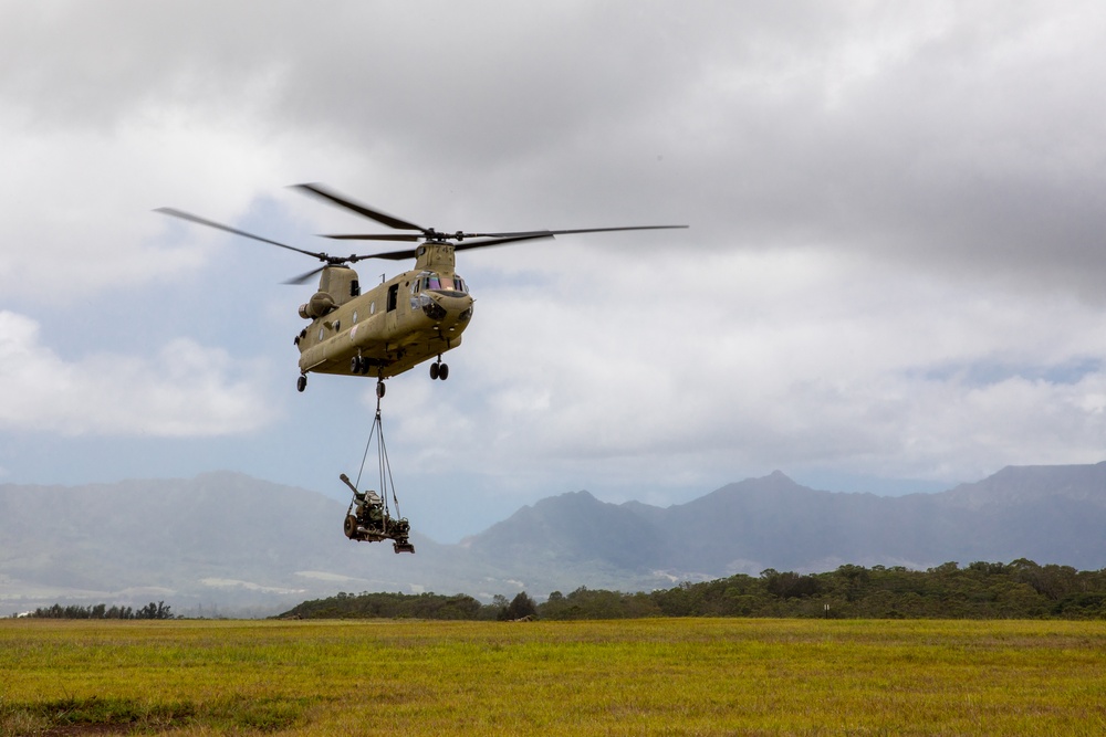 211th Aviation Regiment and 487th Field Artillery Sling Load Training