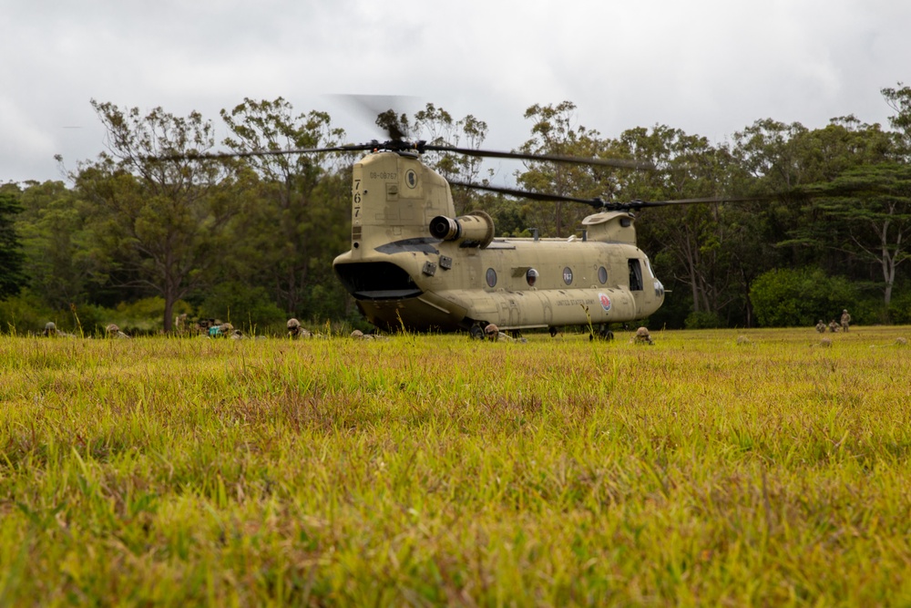 211th Aviation Regiment and 487th Field Artillery Sling Load Training