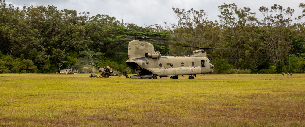 211th Aviation Regiment and 487th Field Artillery Sling Load Training