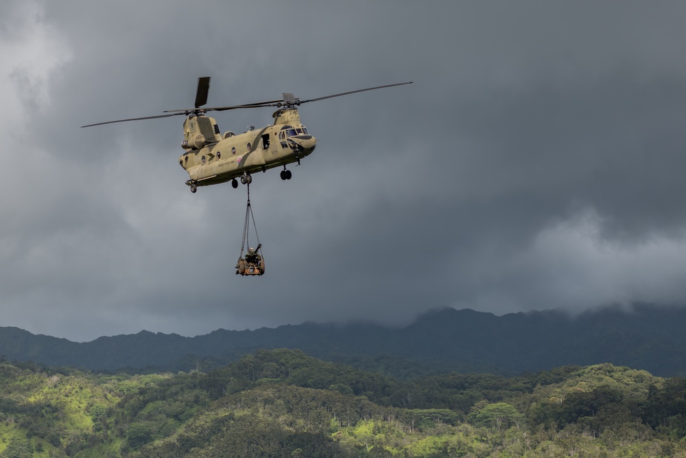 211th Aviation Regiment and 1-487th Field Artillery Sling Load Training