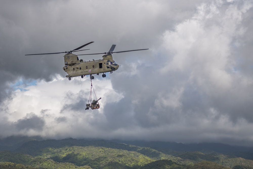 211th Aviation Regiment and 1-487th Field Artillery Sling Load Training