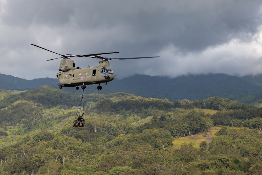 211th Aviation Regiment and 1-487th Field Artillery Sling Load Training