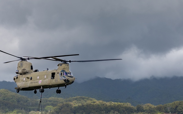 211th Aviation Regiment and 1-487th Field Artillery Sling Load Training