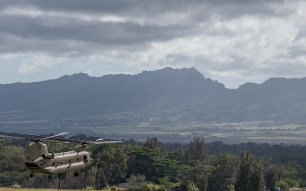211th Aviation Regiment and 1-487th Field Artillery Sling Load Training