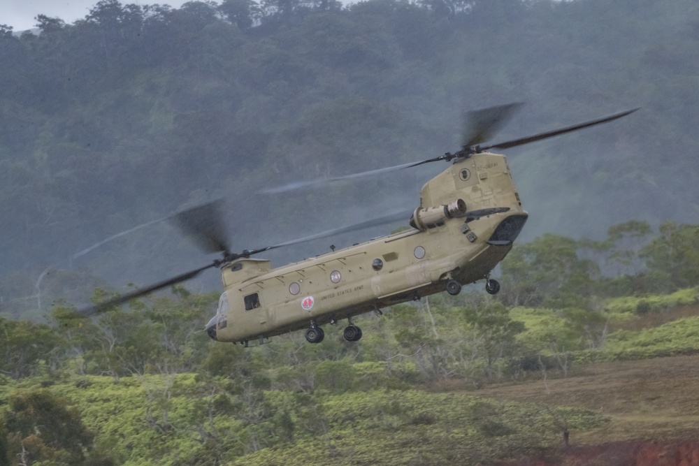 211th Aviation Regiment and 1-487th Field Artillery Sling Load Training