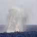 USS Higgins Fires At Simulated Target