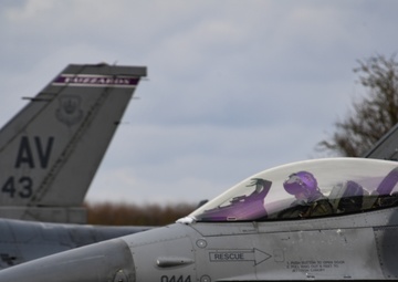 Frisian Flag 22 at Leeuwarden Air Base