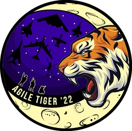 Exercise Agile Tiger