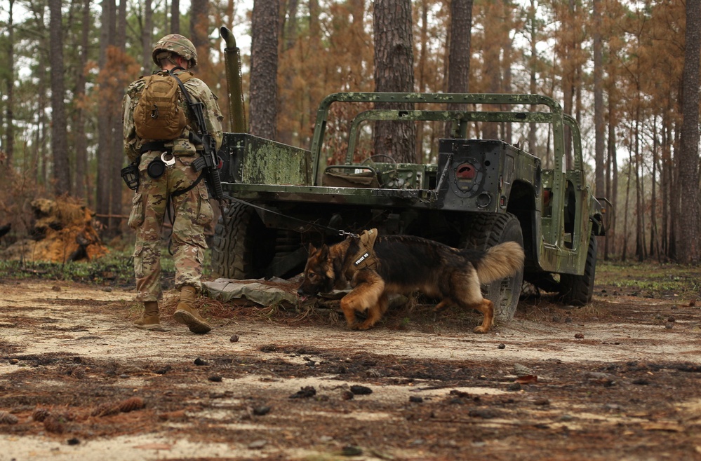 Fort Bragg teams take home the win at first Military Working Dog Team of the Year Competition