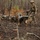 Fort Bragg teams take home the win at first Military Working Dog Team of the Year Competition