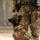 Fort Bragg teams take home the win at first Military Working Dog Team of the Year Competition
