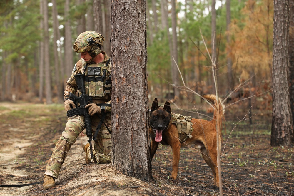 military working dog harness