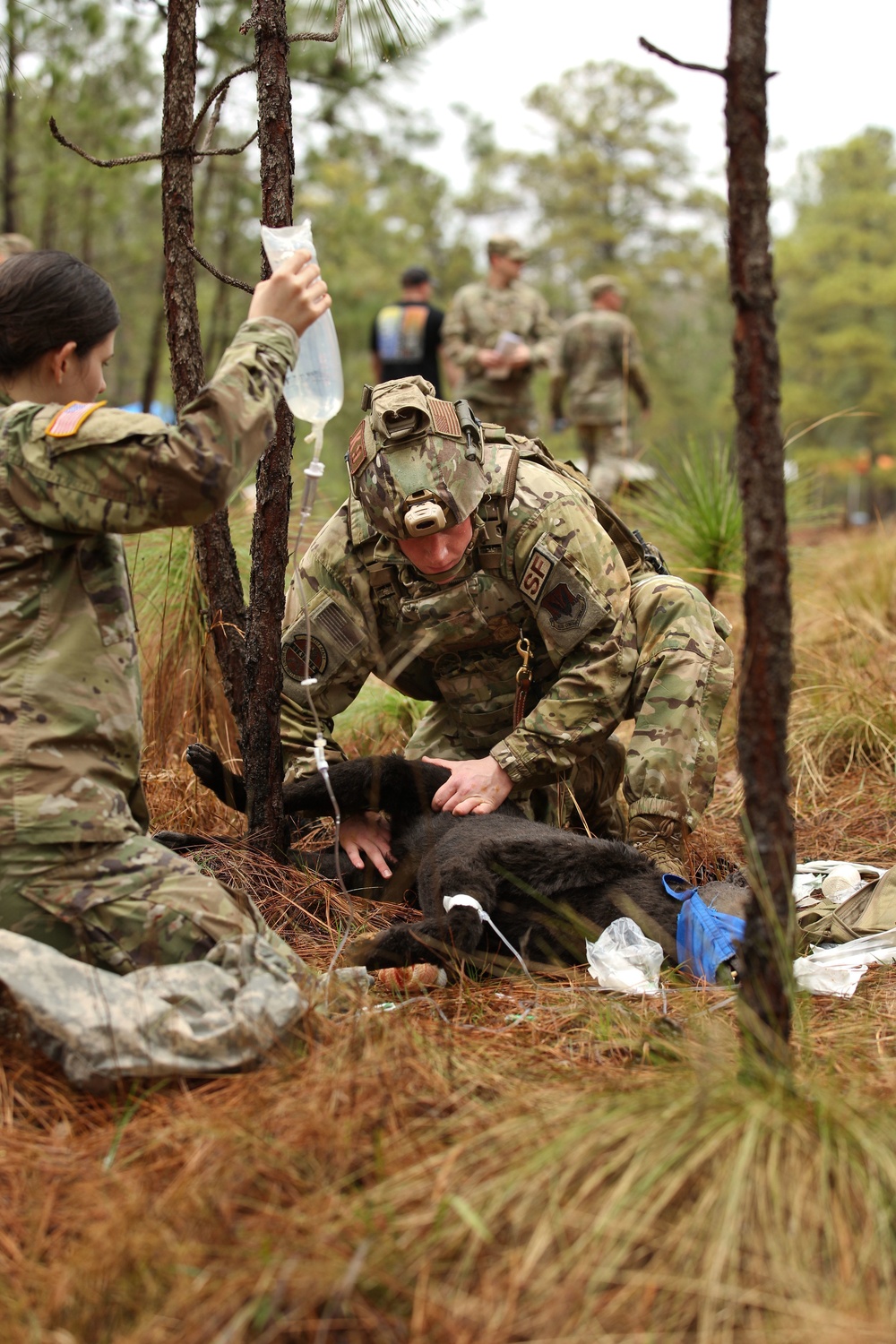 Fort Bragg teams take home the win at first Military Working Dog Team of the Year Competition