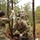 Fort Bragg teams take home the win at first Military Working Dog Team of the Year Competition
