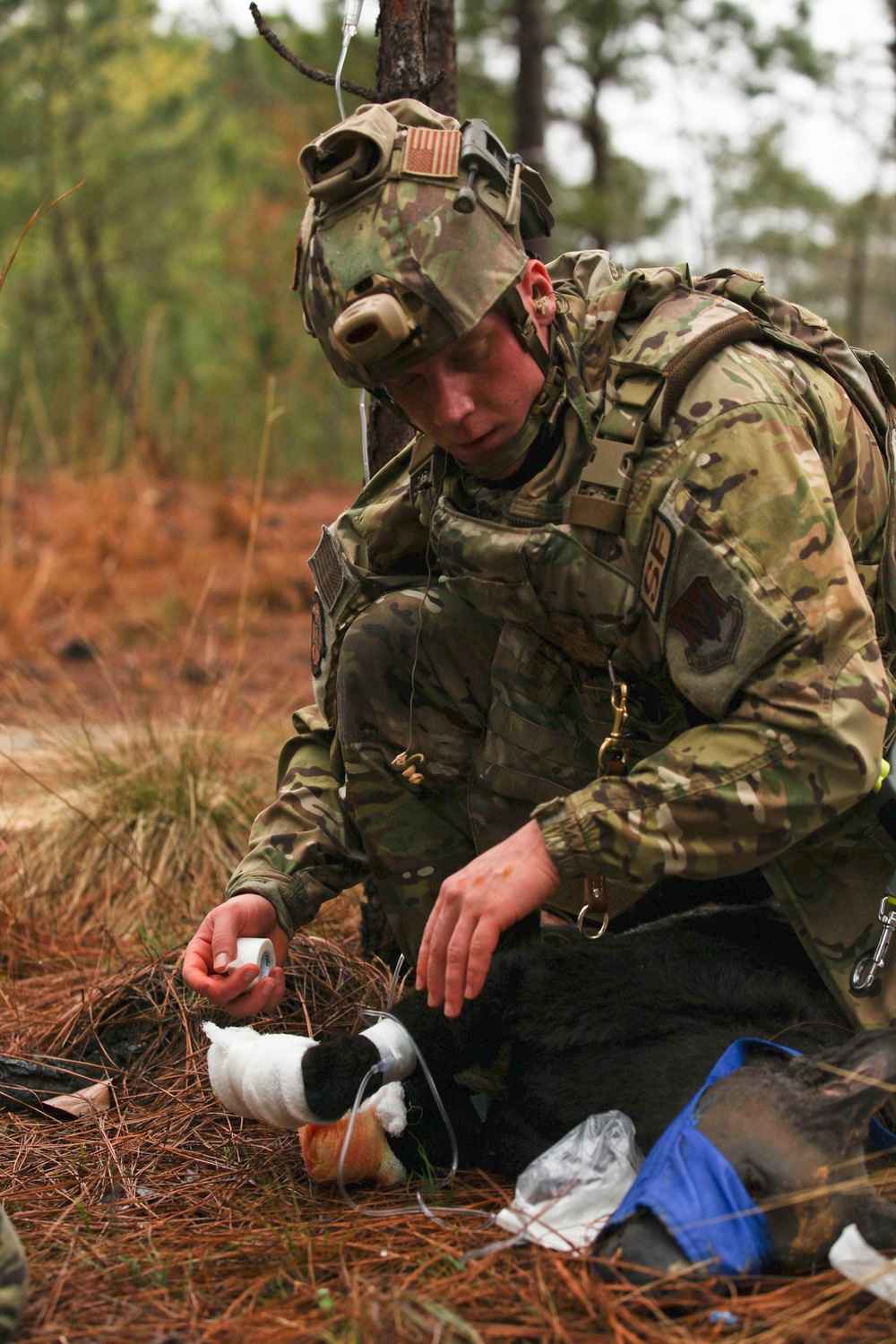 Fort Bragg teams take home the win at first Military Working Dog Team of the Year Competition