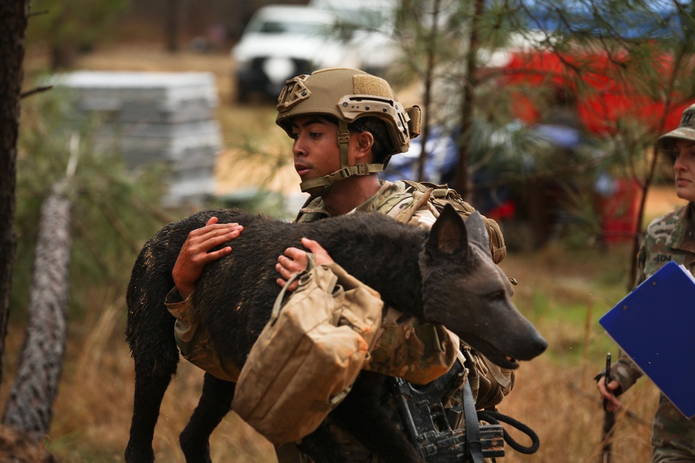 Fort Bragg teams take home the win at first Military Working Dog Team of the Year Competition