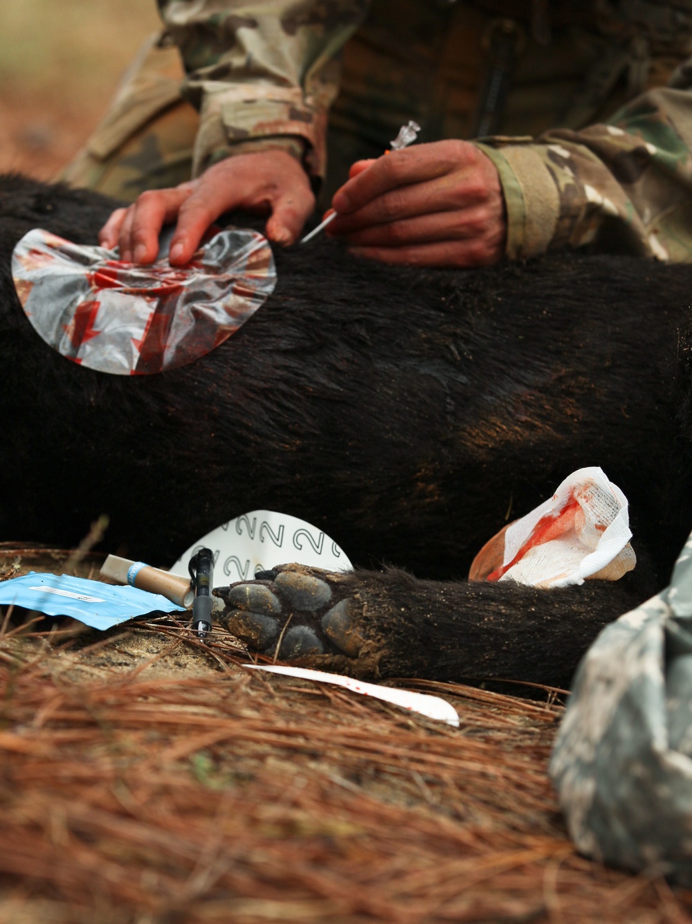 Fort Bragg teams take home the win at first Military Working Dog Team of the Year Competition