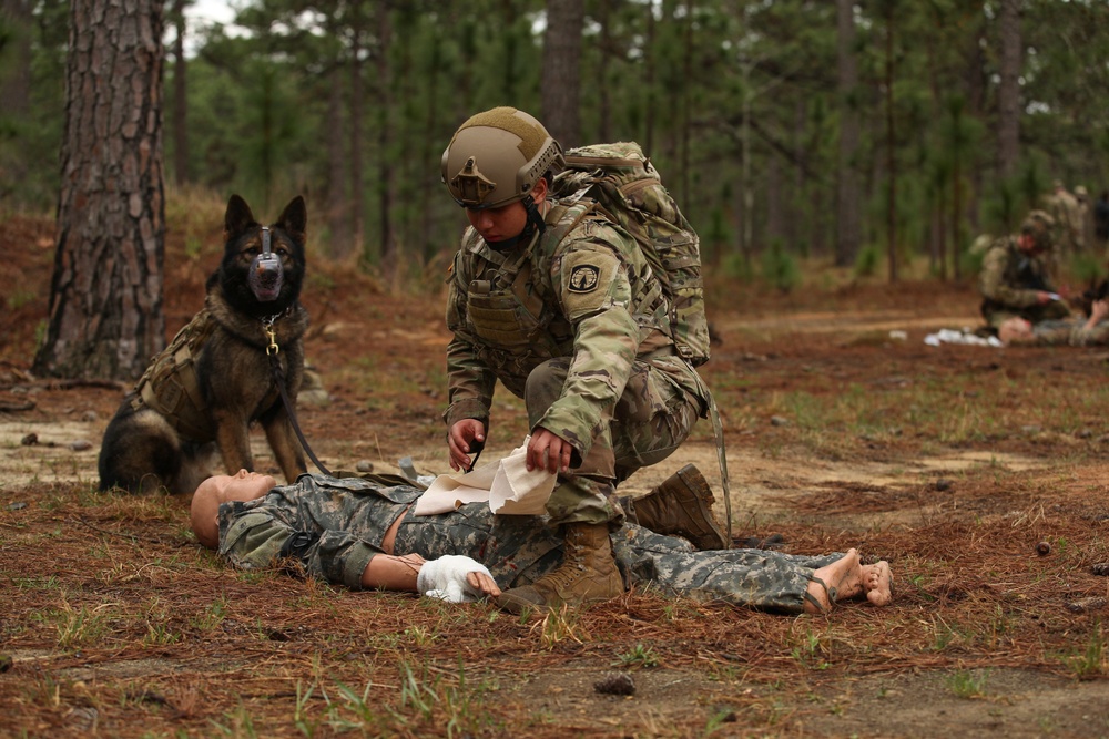 Fort Bragg teams take home the win at first Military Working Dog Team of the Year Competition