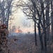 2022 prescribed burn operations at Fort McCoy