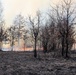 2022 prescribed burn operations at Fort McCoy