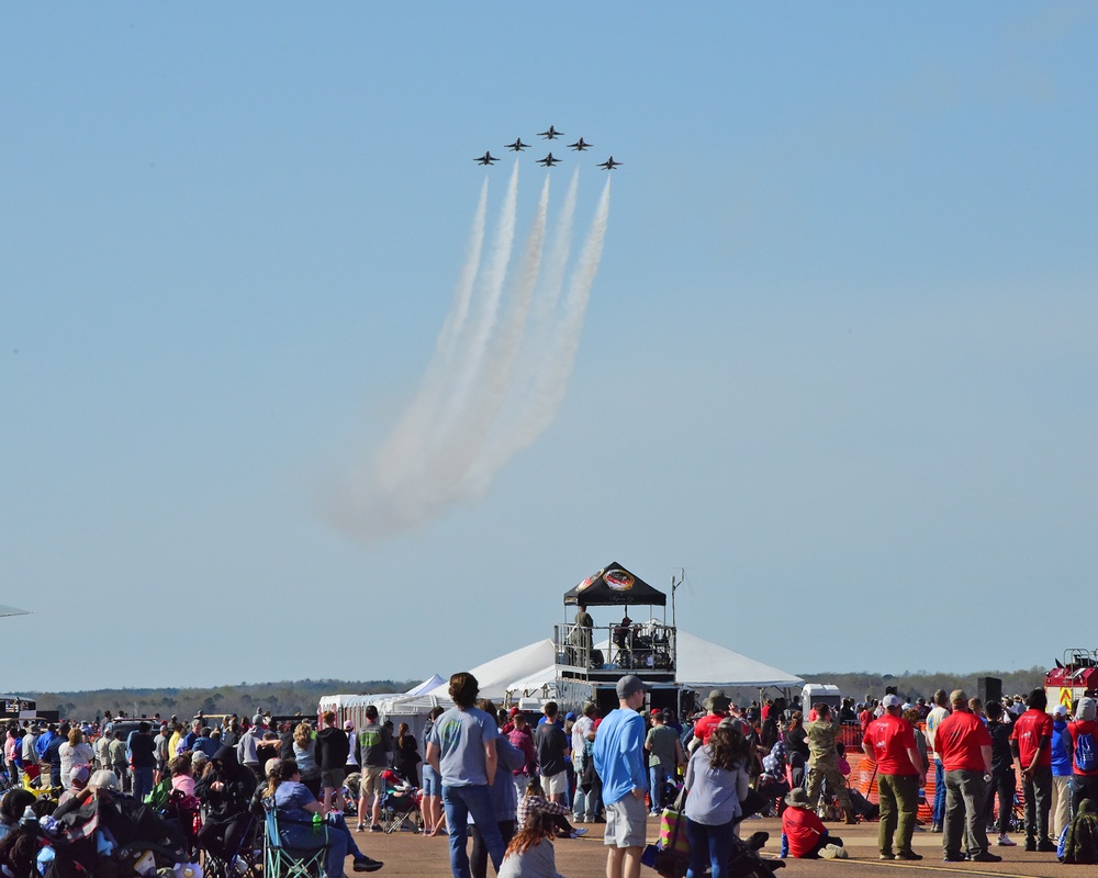 The crowds and the Thunderbirds